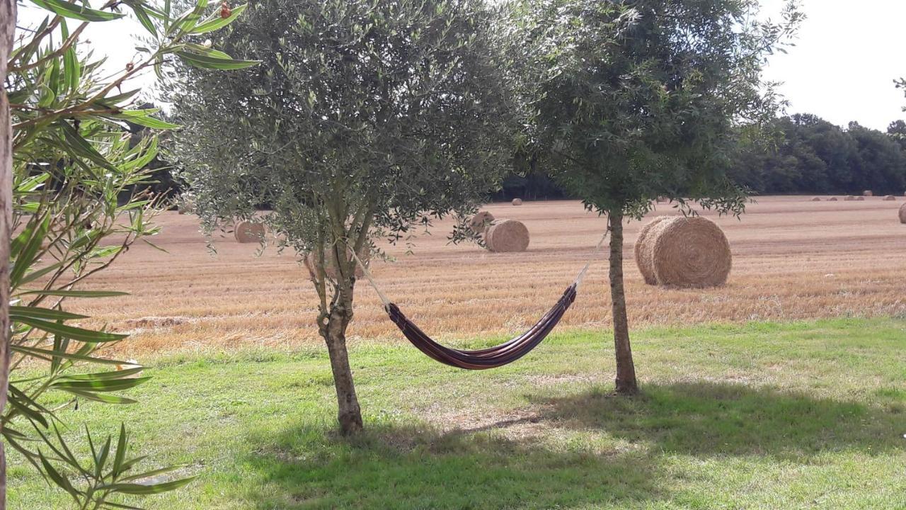 Gite Du Chateau De Pernan Avy Buitenkant foto